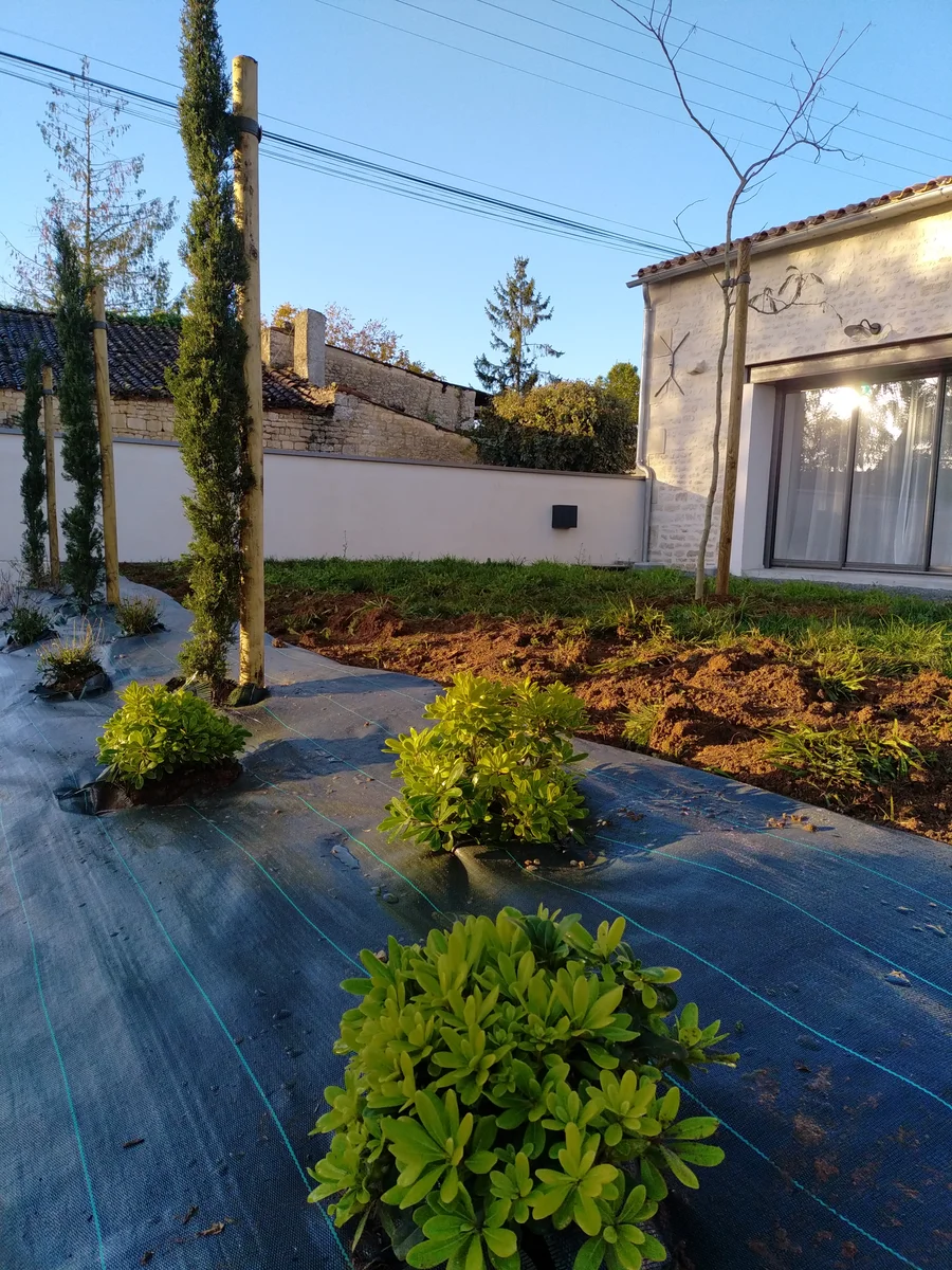 realisation-creation-massif-jardin-crea-decor-paysagiste-les-essarts (2) realisation-creation-massif-jardin-crea-decor-paysagiste-les-essarts (2)