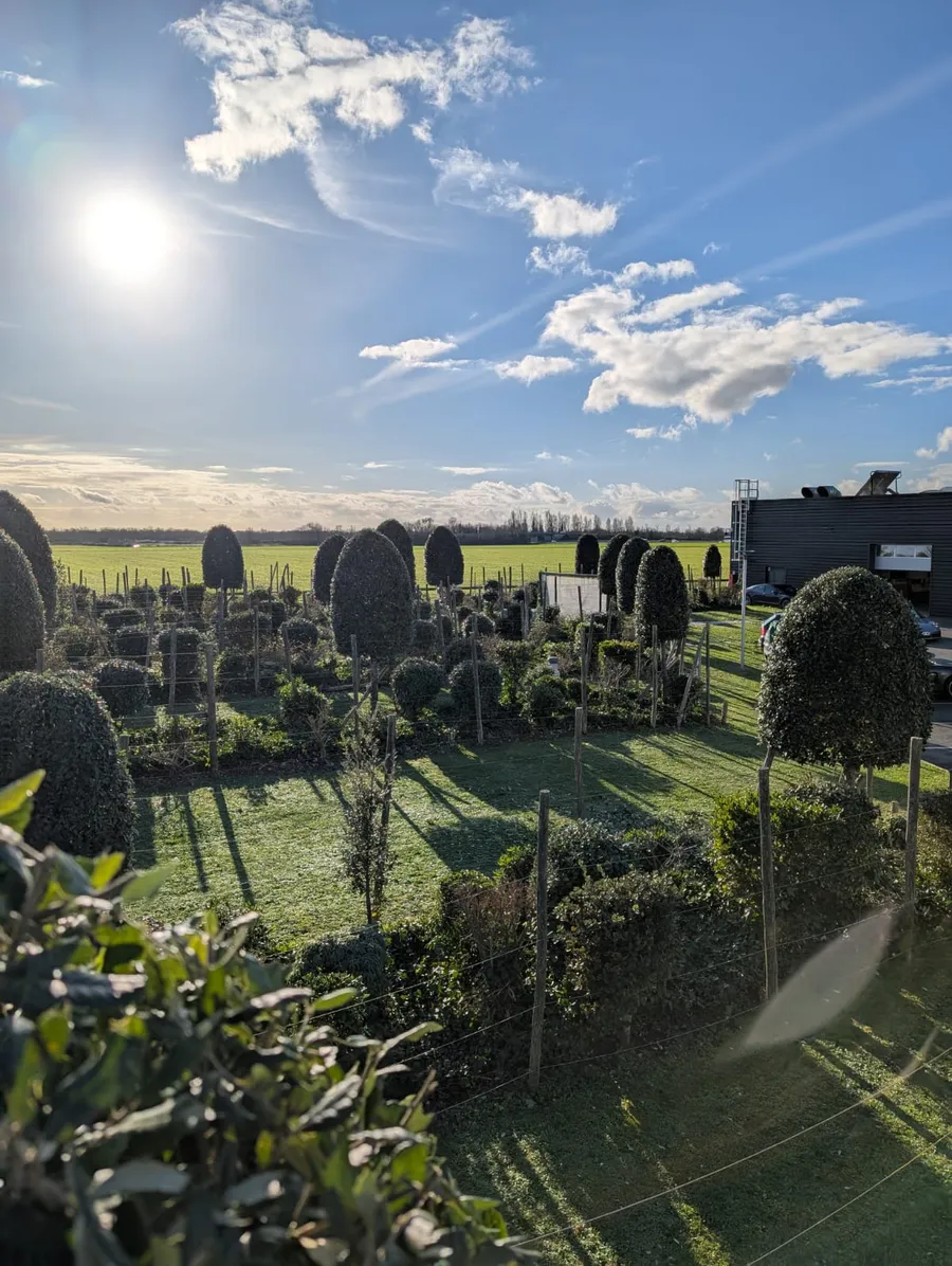 realisation-entretien-allee-jardin-crea-decor-paysagiste-les-essarts (2)