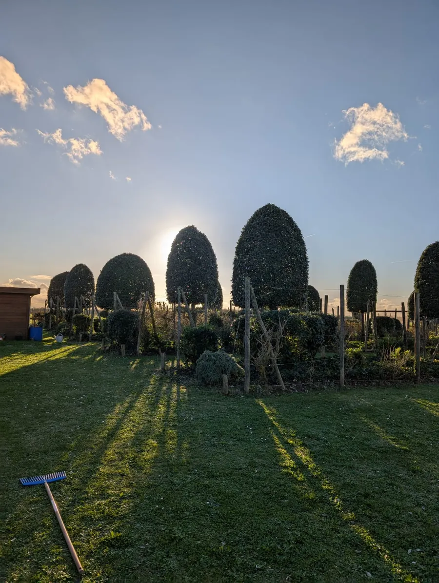 realisation-entretien-allee-jardin-crea-decor-paysagiste-les-essarts (3)