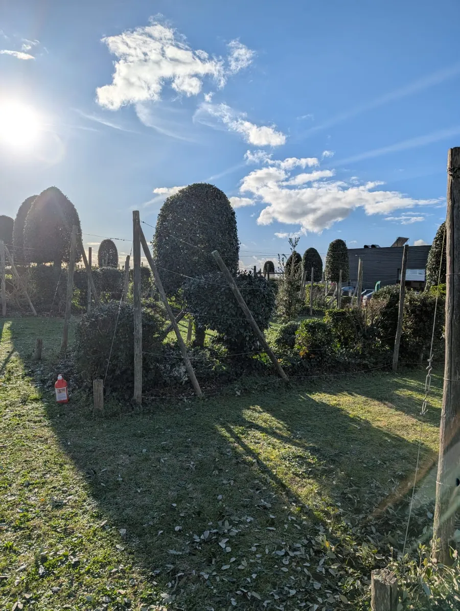 realisation-entretien-allee-jardin-crea-decor-paysagiste-les-essarts (4)